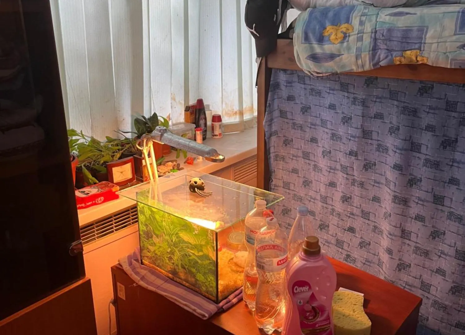 Ararat-Holosiivskyi Hostel Киев